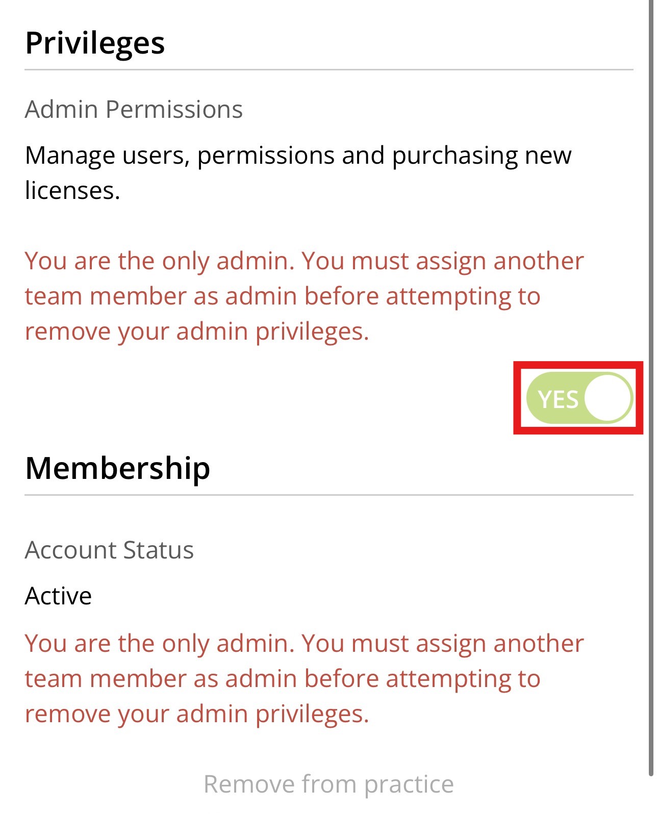 Team member account screen with Admin Permissions toggle